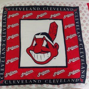 Vintage Retired Cleveland Indians Chief Wahoo Mascot Fabric Square 17inx20.5in